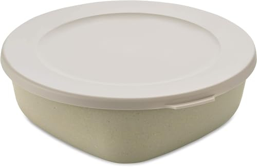 Koziol Box mit Lid 1,3 l Connect Box