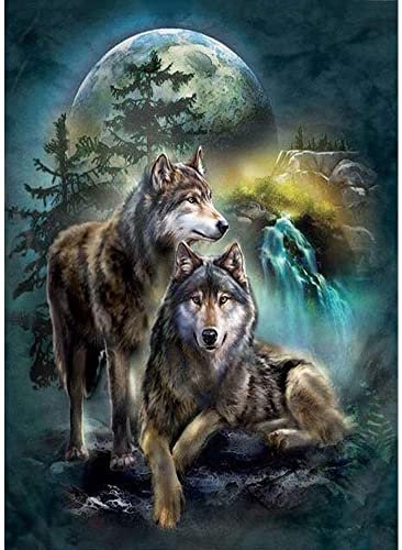 OWN4B Kreuzstich Stickpackungen Vorgedruckt, Wolf Mondnacht Bilder 11CT 14,2x18,1 Zoll DIY Stickpackung Set