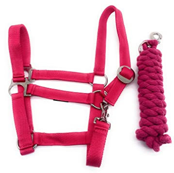ARBO-INOX Halfter-Set Basic Halfter stufenlos verstellbar mit Führstrick (Full Warmblut, Fuchsia)