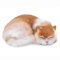 lilizzhoumax orangefarbene Katze Plüschtier Kuscheltier Katze 8,26 Zoll supersüße lebensechte Katze Stofftierspielzeug für Kindergeburtstag Weihnachtsauto Heimdekoration Geschenk für Kinder