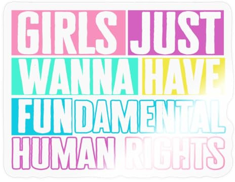 Girls Just Wanna Have Fundamental Human Rights Feminismus Sticker Aufkleber