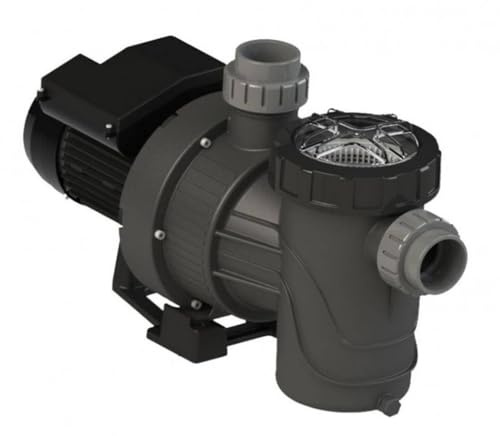 Pompe de Piscine Milieu de Gamme PPE Verdon 0,5 CV Mono 7 m3/h - Puissante et Fiable - D-Work