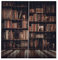 Atyhao Vorhänge 3D Bücherregal Bedruckte Beschattung Vorhänge Schlafzimmer Vorhänge für Wohnzimmerdekoration(150 * 166cm)