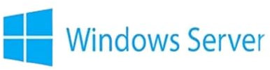 Windows Server 2019 to 2016 Essential Licence Multilingual
