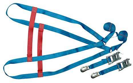 Kopflashing-Netz, 35 mm, 1000 daN, Breite 0,80/1,20 m, inkl. Ratschen Formschluss im Transporter bei Ladungssicherung