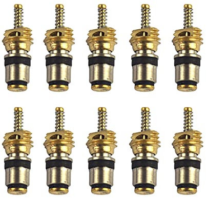 FANMEI THua Store Núcleo de la válvula de acondicionamiento de Aire 10PCS for C.A. Válvulas del Sistema compatibles con Citroen.