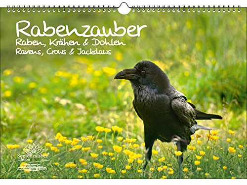 Rabenzauber Raben, Krähen und Dohlen DIN A3 Immerwährender Kalender - Seelenzauber