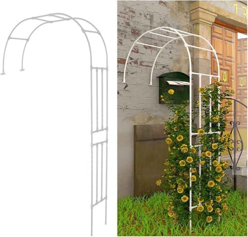 MISKYN Metall Rosenbogen Garten Halbbogen Rankhilfe Rankgitter Torbogen Für Kletterpflanzen Verzinkt Halb-Rosenbogen Witterungsbeständig,Weiß,180 * 240cm