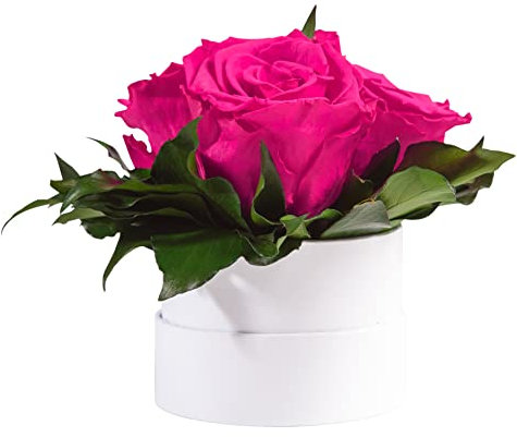 Infinity Rosenbox weiß rund konservierte Blumen Magenta - 3 Infinity Rosen Durchmesser 15 cm - Geschenkideen für Beste Freundin (Pink, Medium)