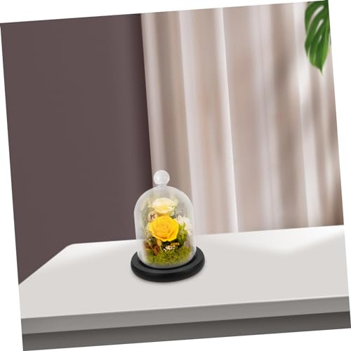 BESPORTBLE Campana de cristal transparente para exhibir tartas, con base de madera, decorativa, para hadas, luces y fotos