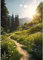 Woplagyreat Diamond Painting Erwachsene Diamant Bilder Dimondpaintin Blumen 5d Landschaft Diamanten Crystal Art Rahmen 30x40 Groß Deko Wohnzimmer Wanddeko Schlafzimmer Pflanzen Aesthetic Pfad