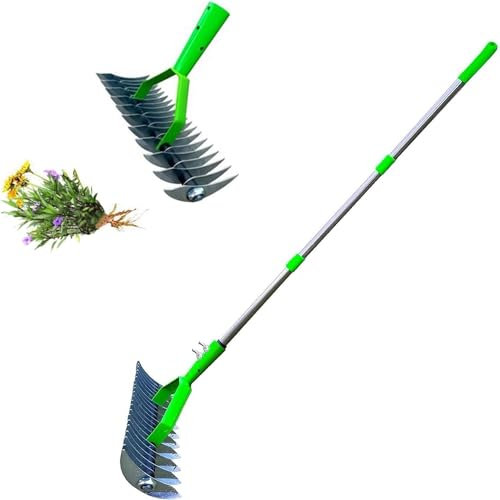 Lawn Aerator Scarifier with Handle, Moss Removal Garden Tool with Dethatching Rake, Manual Lawn Grass Soil Aeration and Scarification for Lawn Care Maintenance (1.7M)