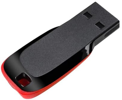 Aisuoka Mini Clé USB 2.0 Haute Capacité 256 Go Noir Porte-Clés Clé USB 256 Go Stockage Mémoire Stick