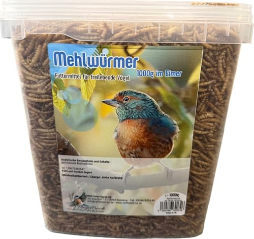 1kg Mehlwürmer im Eimer