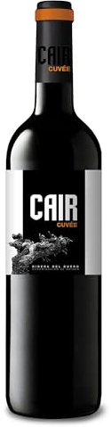Luis Cañas Cair Cuvée Luci & Begoña, Ribera del Duero D.O trocken 2013 (1 x 0.75 l)