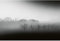Fototapete Wald in Nebel | Schlafzimmer und Flur Fototapete mit Nebelwald in Schwarz Weiß | Graue Tapete mit Bäumen im Winter