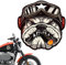 Yaztauho Motorrad-Vintage-Aufkleber, Motorradhelm-Aufkleber - Autoaufkleber - Hochauflösende Motorradaufkleber, Aufkleberpakete für Erwachsene, starker Kleber für Wasserflaschen