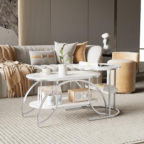 HYNHXBP Lot de 2 Tables Basses, Table Gigogne Design Marbre, avec Espace de Rangement, Cadre en Métal, pour Canapé, Salon, Chambre (Argent + Blanc, 80x46x45 cm)
