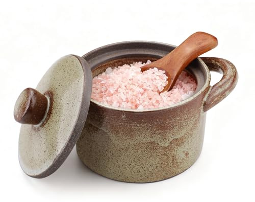 Yitexin 8.5 Oz Speckled Porcelain Salt Cellar with Lid & Wooden Spoon, Handcrafted Pepper Salt Dish Holder, Glaze Spice Jar Kitchen Countertop Canister/Container/Bowl for Sugar Storage (1pcs)