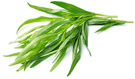 Tarragon Herb Seeds 25 Count, COOL BEANS N SPROUTS Brand. Herb. Non-GMO. Home Gardening.