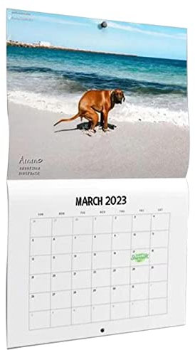 Pooping Dogs Calendar 2023, Dogs Pooping In Beautiful Places Calendar, Monatlicher Wandkalender, Lustiger 2023 Hündchen-Kalender Wandkalender