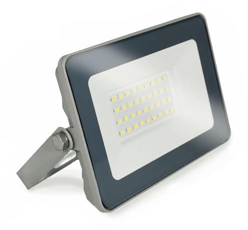 Europalamp FLG2002_NEW - Proyector LED de 20 W ProLine blanco neutro 4000 K de alta luminosidad