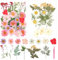 GHVACZS 50 Stück Getrocknete Blumen, Gepresste Blumen mit Pinzette, DIY Gemischte Getrocknete Blüten, Geeignet für DIY Kerzen, Harz, Schmuck, Nägel, Fotorahmendekorationen (Pink White)