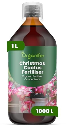 Concime liquido organico 1L per cactus di Natale – favorisce una fioritura invernale abbondante – Organifer