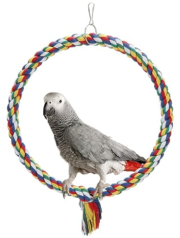 Bird Rope Swing Colorful Perch Climbing Toy for Parrots Budgie Parakeet Cockatiel Cockatoo Conure (M (10.4 inch)
