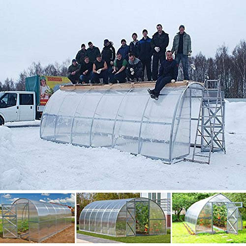 Serre polycarbonate Tunnel 3 x 6 m Jardin renforcé Plantes Serres Box 6 x 3 m Gazebo maison Prime
