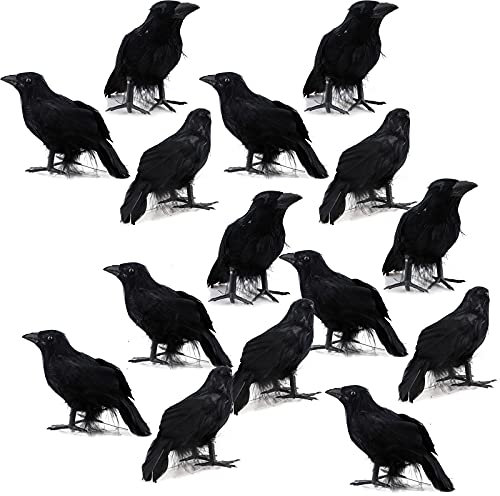 HanOBC 15 Stück Krähen künstliche Vogel Halloween Dekor Rabe Requisiten Dekorationen schwarz gefiederte Krähen Vögel Modell realistisch Tier Ornament Halloween Zubehör