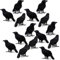 HanOBC 15 Stück Krähen künstliche Vogel Halloween Dekor Rabe Requisiten Dekorationen schwarz gefiederte Krähen Vögel Modell realistisch Tier Ornament Halloween Zubehör
