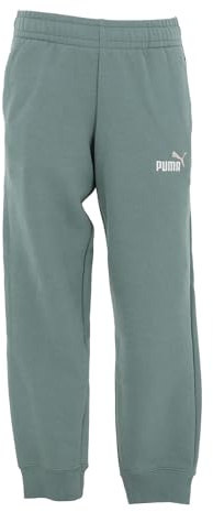 Puma Jungen ESS 2 Color No. 1 Logo Sweatpants FL B Gestrickte Hosen, Green Moon,