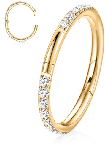 Titan Nasenbügel Ring Halbverschluss Neuer Sicherer Haken Scharnier Segment Ring Nahtloser Klickerring 18G 16G Septum Daith Conch Knorpel Helix Rook Tragus Piercing Schläfer Ohrring (2024 UPDATE)