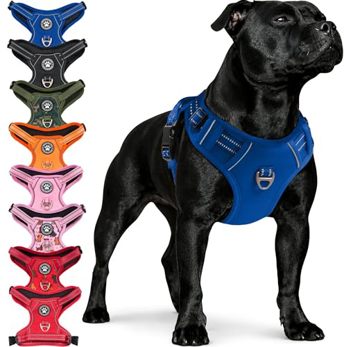 Reichstadt Pets Hundegeschirr Große Hunde 25RSP083 Blue L | Verstellbares No-Pull Geschirr mit Griff & Reflektoren | Atmungsaktiv, Gepolstert & Strapazierfähig | Sicherheitsgeschirr