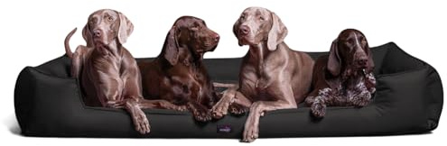 tierlando® Orthopädisches Hundebett Goofy für große Hunde XL bis XXXL mit waschbarerem Polyester-Bezug, ideal bei Gelenkproblemen Größe: 185x115cm | Farbe: 03 Schwarz