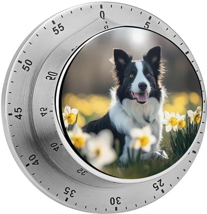 Border Collie Hunde-Timer 60-Minuten-Countdown Küchen-Kochtimer für Zuhause