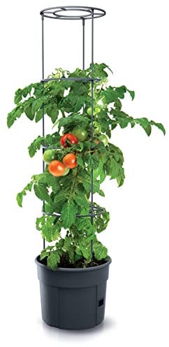 Spetebo Tomaten Pflanztopf rund mit Rankhilfe - 153 x 29 cm - Anwuchshilfe mit integriertem Bewässerungsboden - Pflanz Turm für Rankgewächse Höhe 4-Fach anpassbar