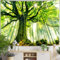 Skcess Wandteppich Natur Wald Wandbehang, Wandtuch Grün Wandteppich Baum Sonnenaufgang Landschaft Tapisserie Jungle Wandtücher Wall Tapestry 300 x 260 cm