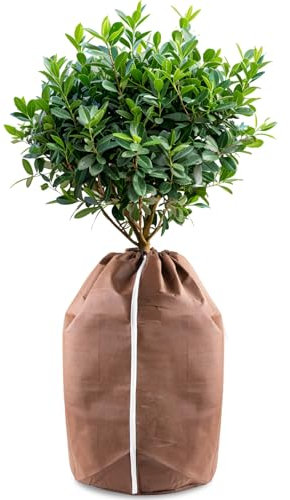 Hydrogarden Winter-Topfschutz SUPERPROTECT XLL, Thermo Topfschutz, Winterschutz für Topfpflanzen,Winter Topfschutz mit Zugband - 70 x 65 cm