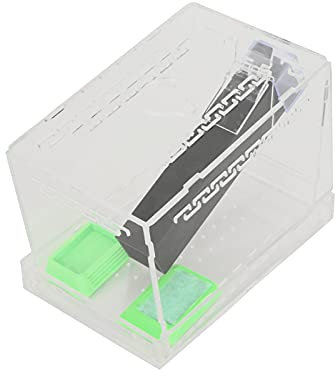 Acryl Cricket Keeper Futtergehege mit Röhren – Pflegeset für Reptilien und kleine Haustiere (S)