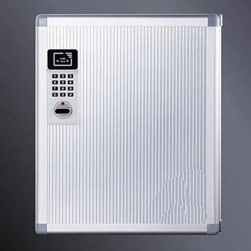 WNGJZZYC Schlüsselkasten zur Wandmontage mit Code, Schlüsselschrank mit Anhängern und 2 Elektronischen Sensorschlössern, für Auto, Büro, Haus, Garage, Vermietung(32keys(28x33x6cm/11x13x2.4in))