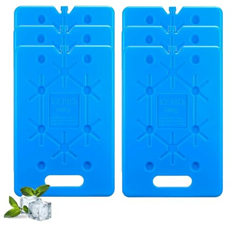 sunVigorous Grandi piatti refrigeranti per borsa termica – 3/6 pezzi da 600 ml – elemento refrigerante ultra sottile riutilizzabile – adatto per attività all'aperto da portare con sé per mantenere il