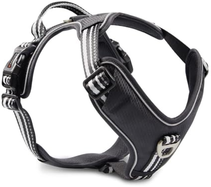 Wolters Geschirr Active Pro, Größe:50-57.5 cm, Farbe:schwarz/schwarz