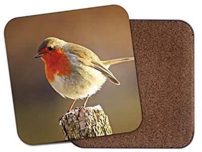 Cute Robin Dessous de Verre – Bird Redbreast Twitcher de Noël Joli Jardin Cadeau # 8701