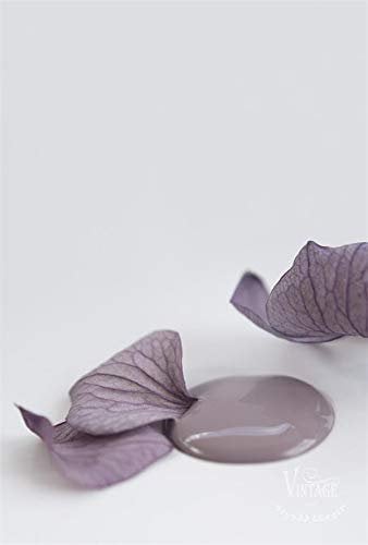 Jeanne d'Arc Living Vintage Paint Kreidefarbe 100 ml/3,4oz Chalk Kalkfarbe JDL 100% natürliche Möbelfarbe - einfache Handhabung (Delightful Plum)