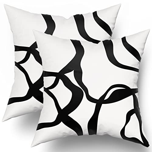 Schwarz und Weiß Kissenbezüge, 40.6x40.6 cm, 2er-Set, moderne abstrakte Kunstlinie, Boho-Design, Überwurfkissen, böhmisch, dekorativer Kissenbezug, Baumwolle, quadratisch, für Zuhause, Couch, Bett