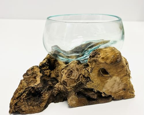 My Square Mile Molten Glass Display Bowl On Wood Root Stand | Glass Rustic Ornament Sculpture Key Sweet Display Dish (Small)