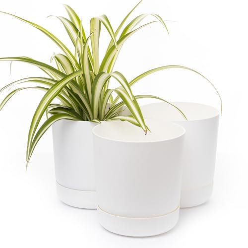 Home Garden Ornaments Large Plant Pots Indoor – Classy Indoor Plant Pot Set of 3 with Drainage Holes, Saucer and Reservoir, Self Watering Flower Pots (Diameter: 25cm, Colour: White)