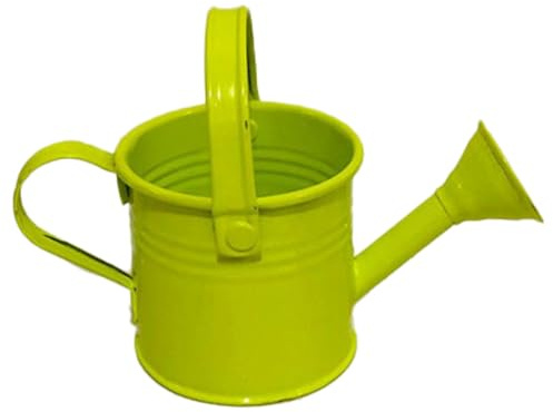 dijiusidy Regadera de Metal para niños, minibotella de Agua para Exteriores, regadera pequeña de Metal, regadera para niños, do